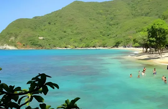 Visita guiada de día completo a Tayrona, 7 Olas, Neguanje y Playa Cristal