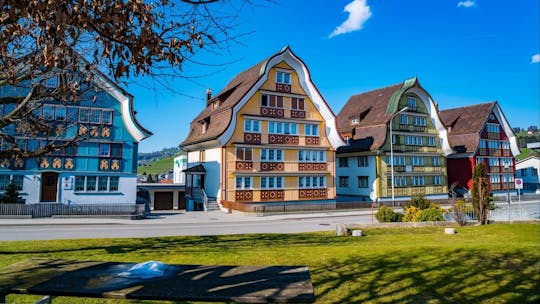 Private guided tour of Heidi country and Liechtenstein from Zürich