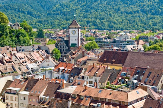 Private guided tour of Black Forest and Alsace from Zürich