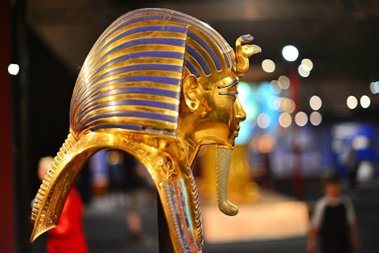 New Grand Egyptian Museum and Giza Pyramids from Cairo with Lunch