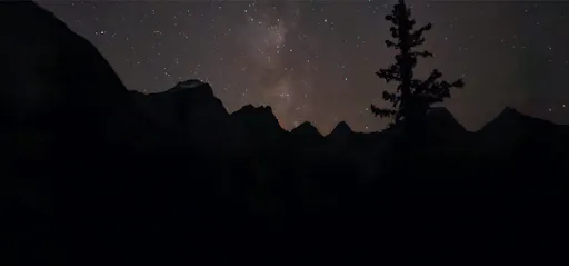 20251117691a919c8911f.png