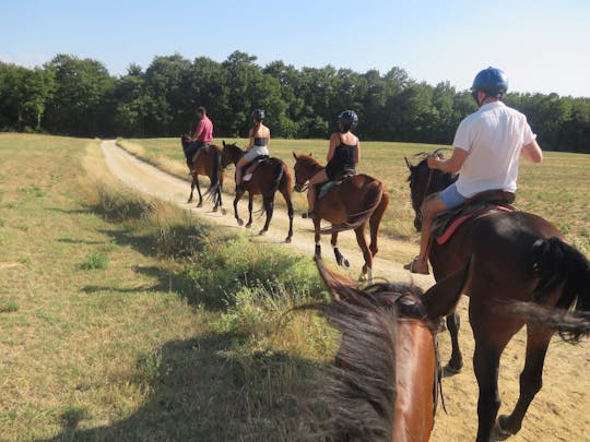 Horseback riding tour in Tuscany