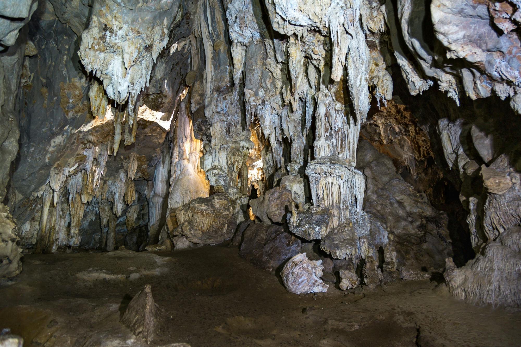 Full-day Khao Sok National Park with long-tail boat cruise from Khao Lak