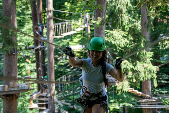 Tickets for Ropes Park Interlaken