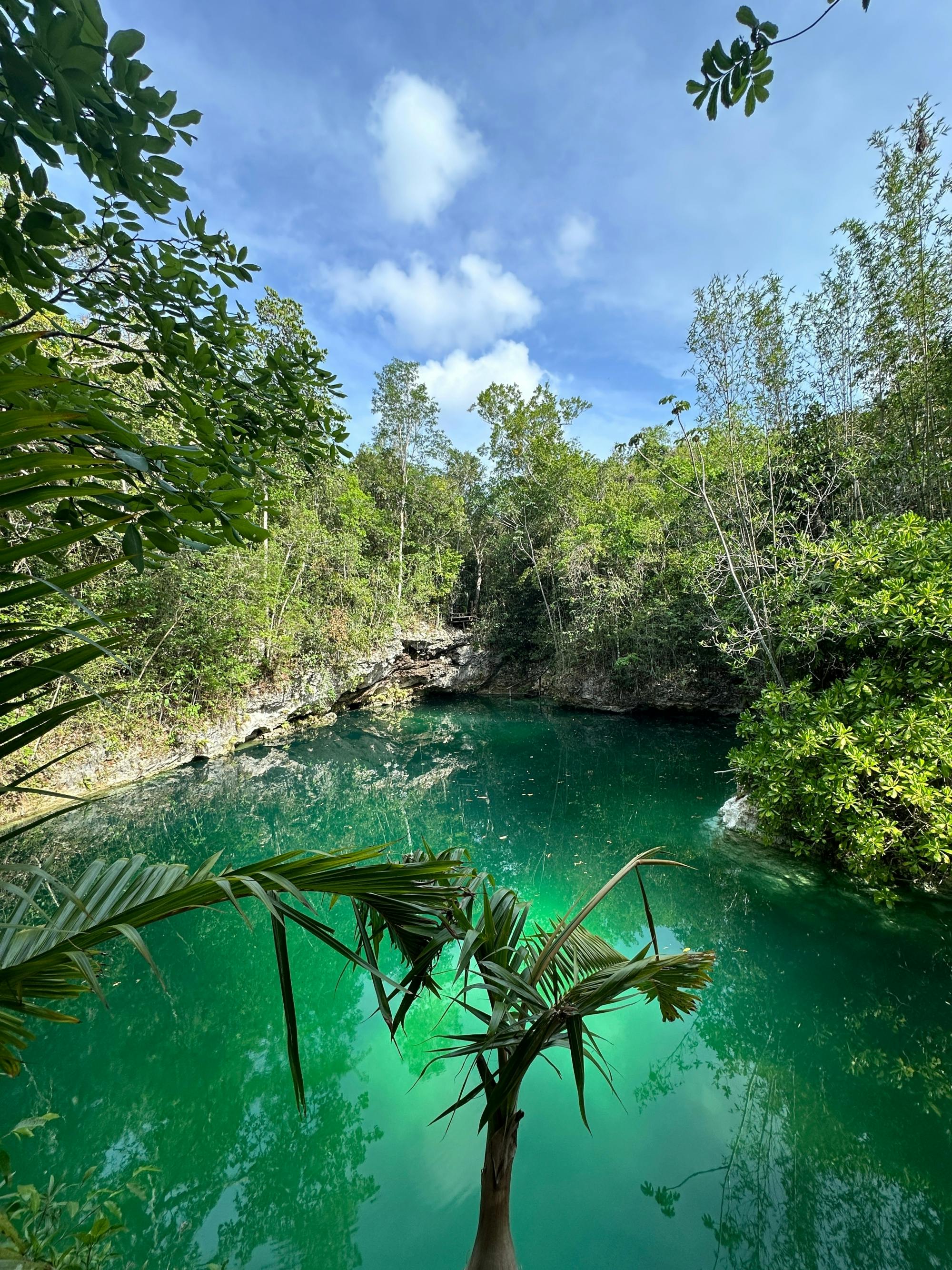 Cenotes Zapote Prehistoric Park zip-lining and cenote tour