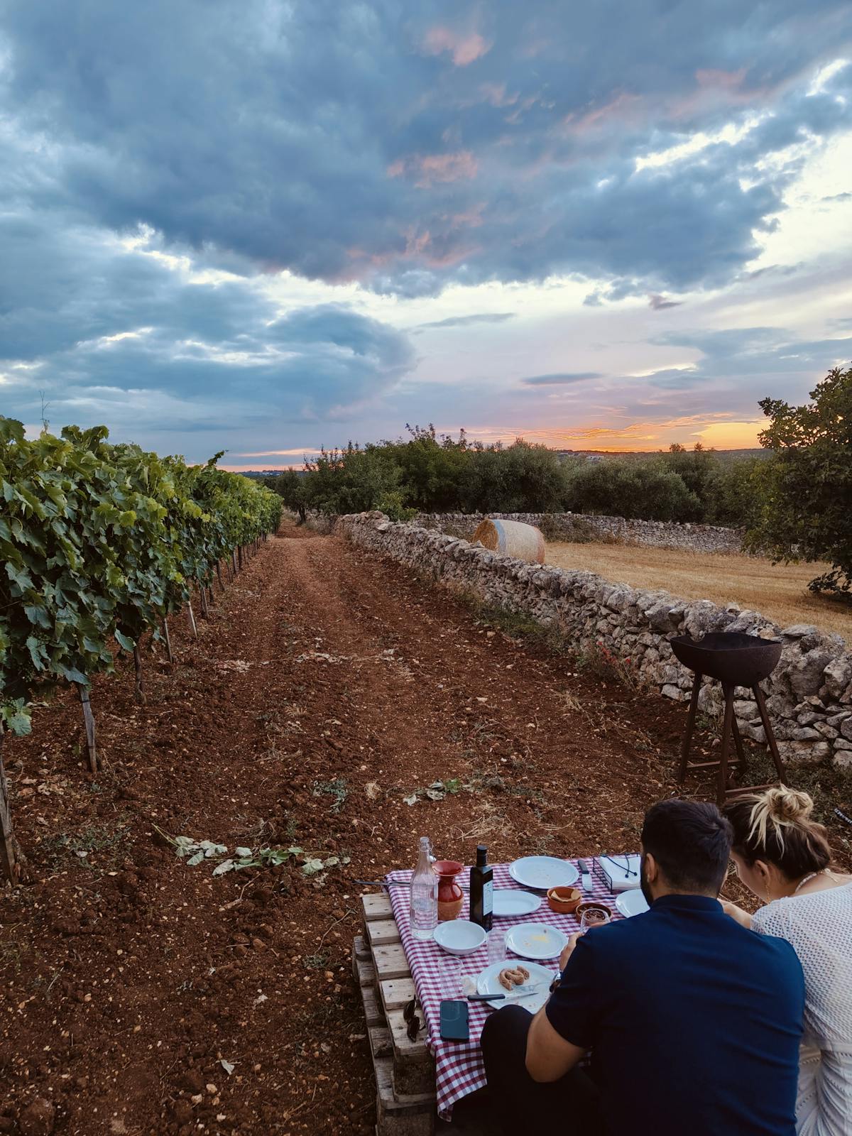 Picnic e barbecue in campagna in Valle d'Itria