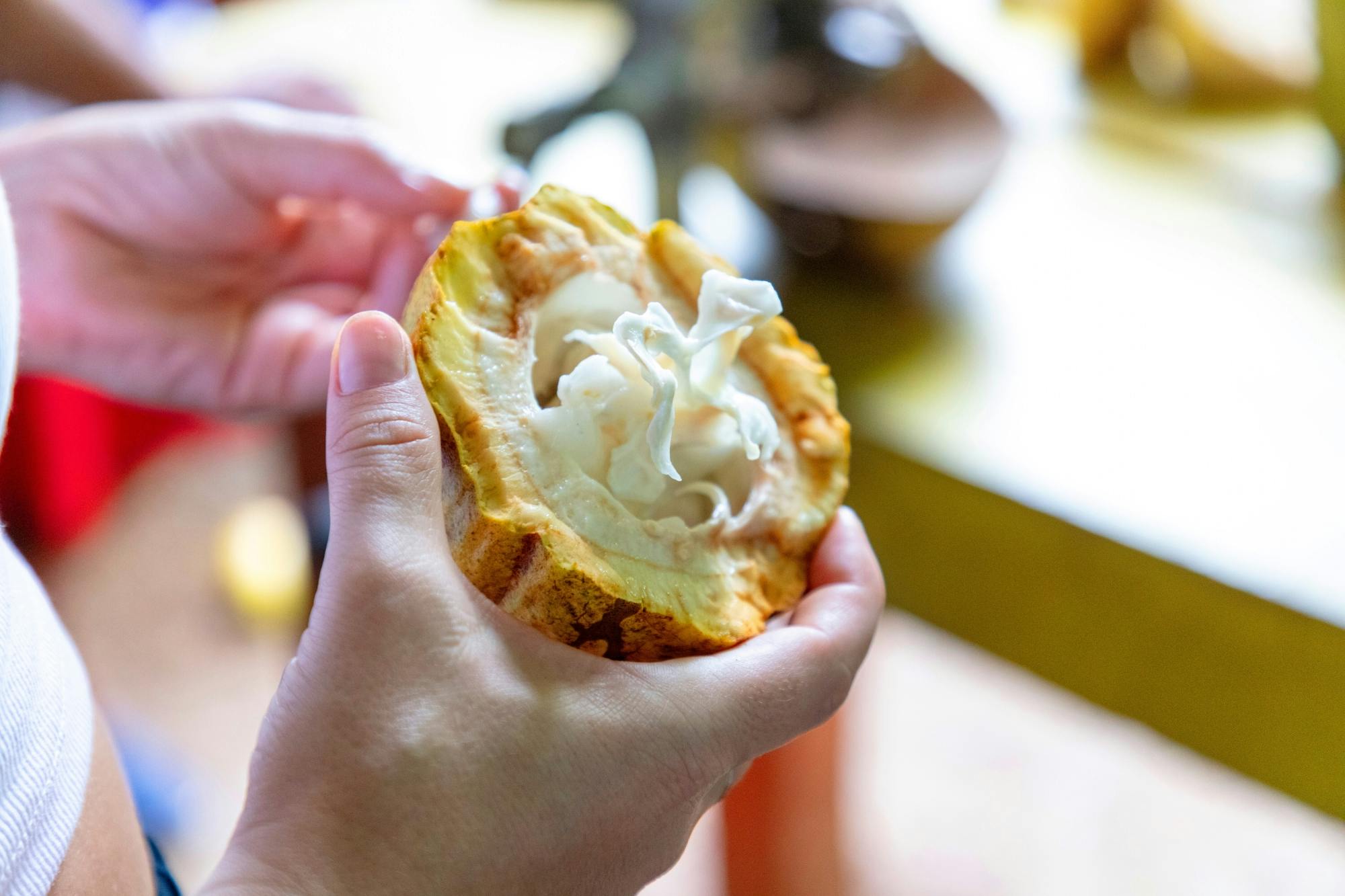 Full-day tour of Higuey with local lunch in a family home