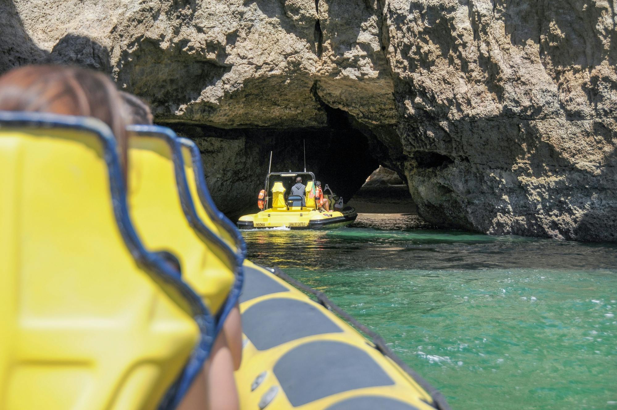 Insonia Cave and Dolphins Speedboat with Transport from Albufeira