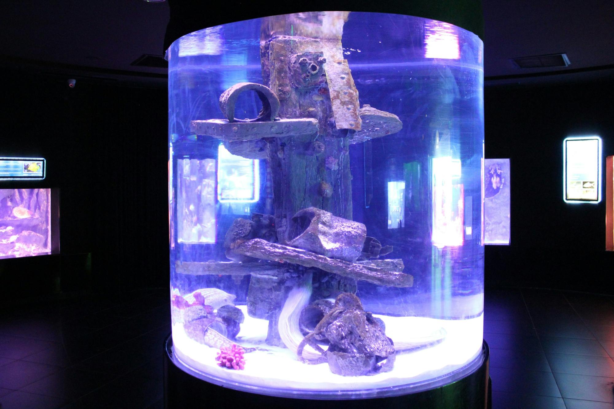 Antalya Aquarium Ticket