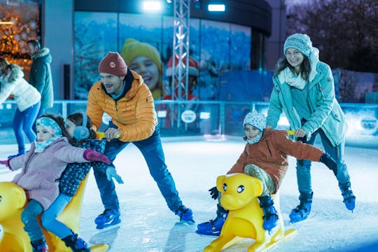 Entrance to PLAYMOBIL® funpark to experience winter magic