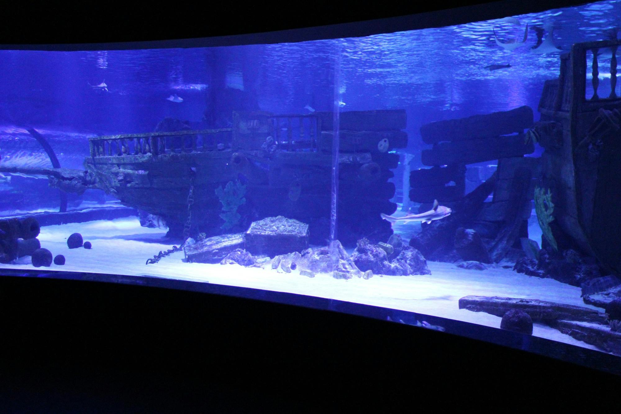 Antalya Aquarium Ticket