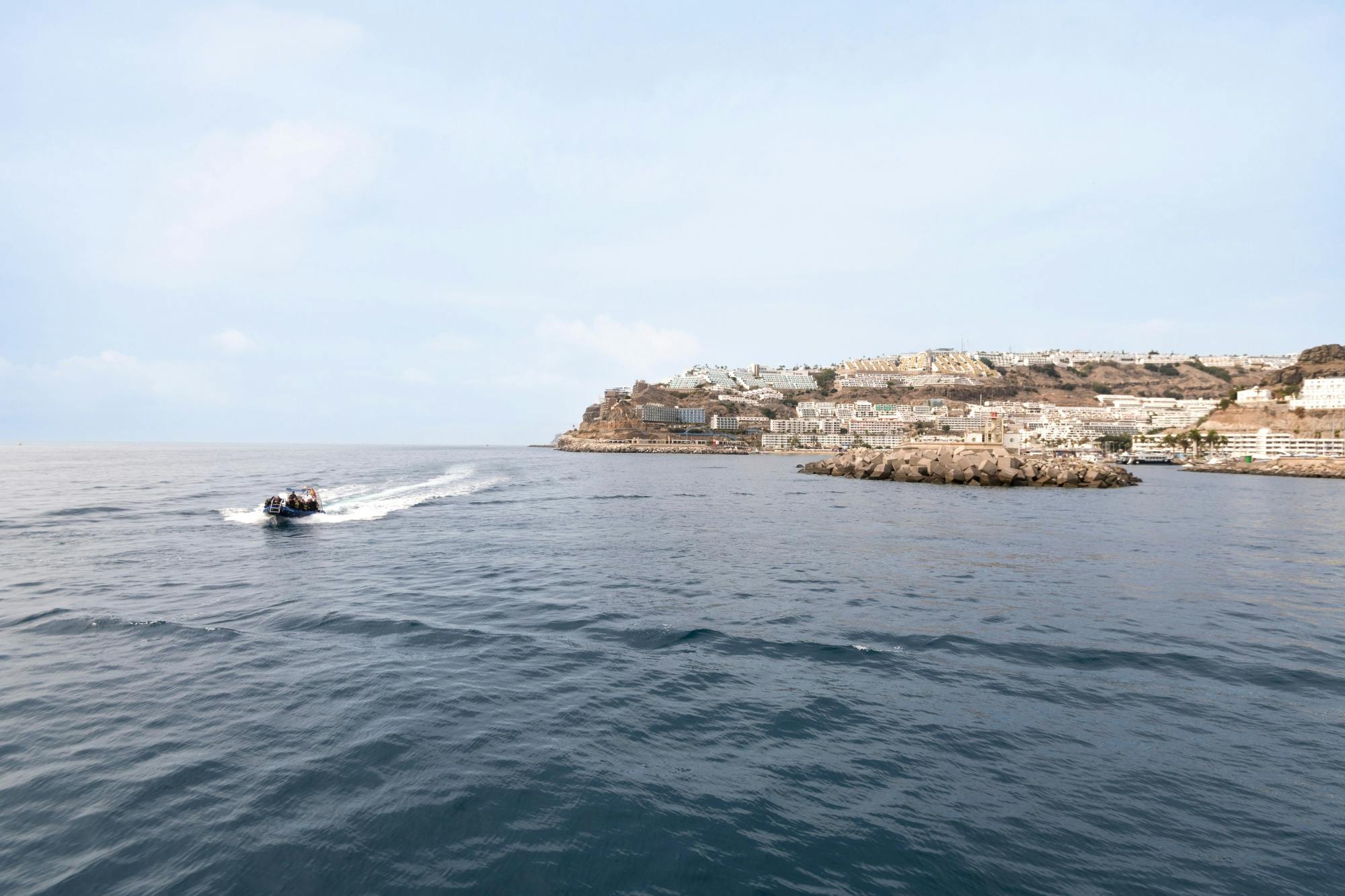 Gran Canaria's 'Little Venice' – visit Puerto de Mogan by boat