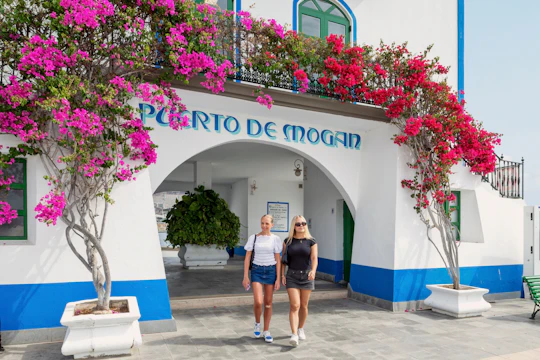 Gran Canaria's 'Little Venice' – visit Puerto de Mogan by boat
