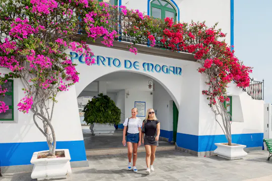La pequeña Venecia de Gran Canaria: visite el Puerto de Mogán en barco