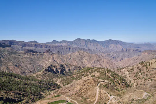 Visite en petit groupe : La campagne de Gran Canaria avec dégustation de vin et repas