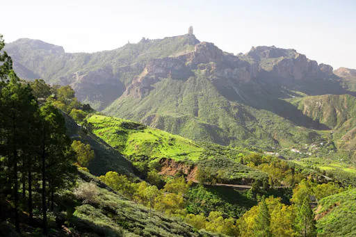 Gran Canaria Inland tour with local lunch and winery visit