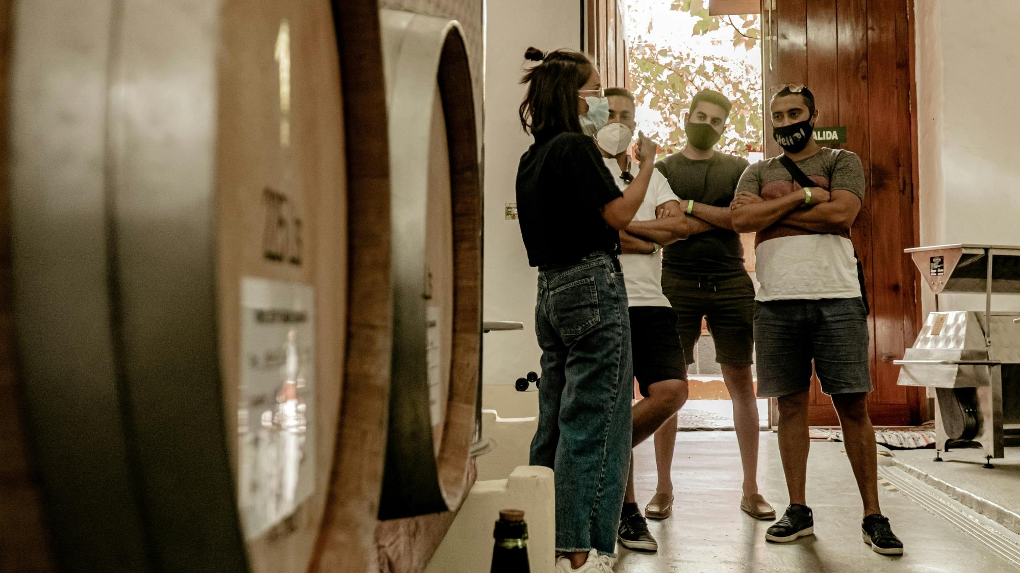 Gran Canaria Inland tour with local lunch and winery visit