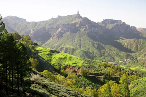 Gran Canaria Inland tour with local lunch and winery visit