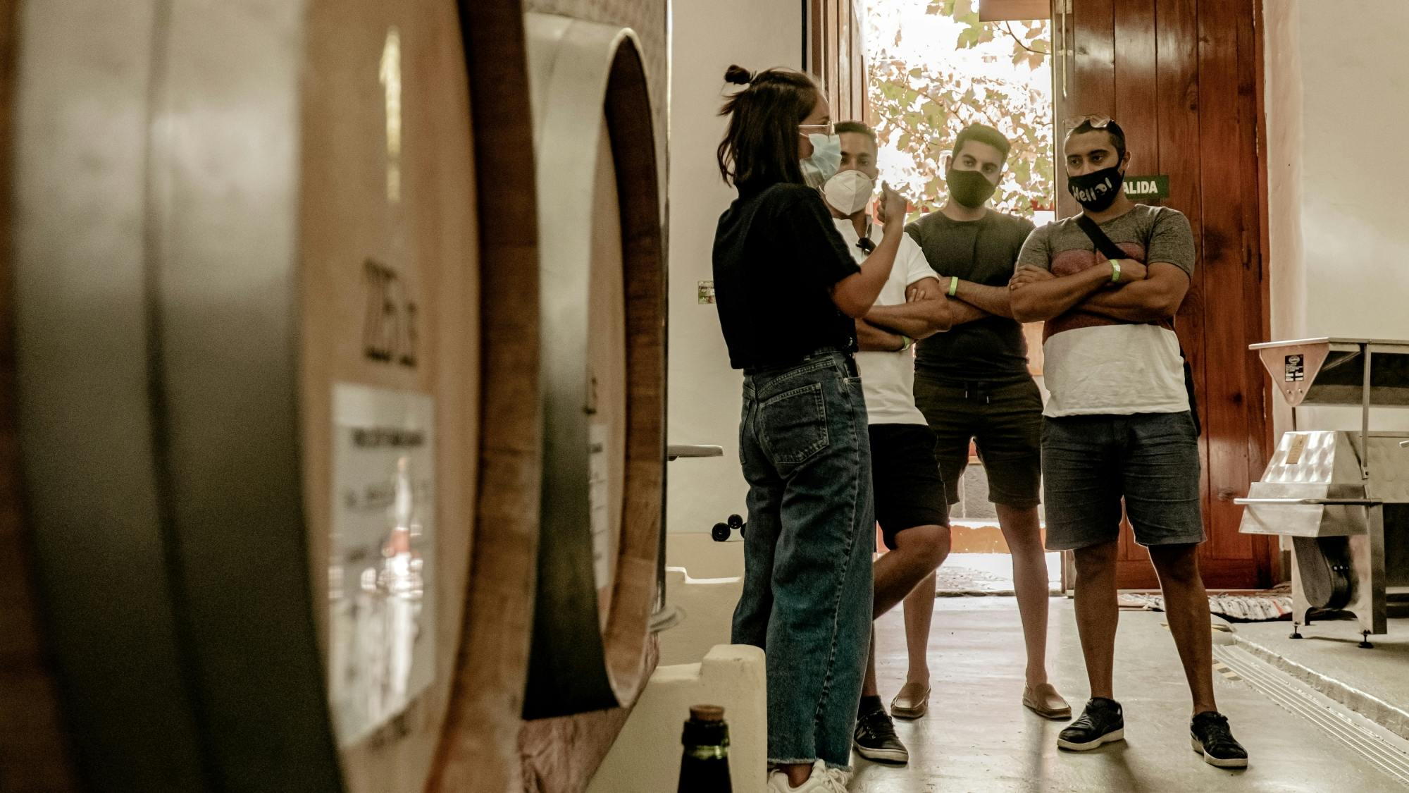 Gran Canaria Inland tour with local lunch and winery visit