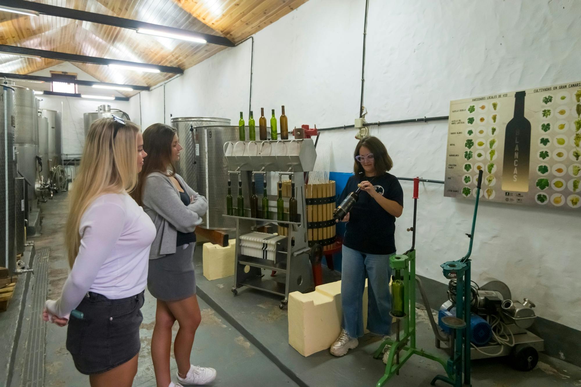 Gran Canaria Inland tour with local lunch and winery visit