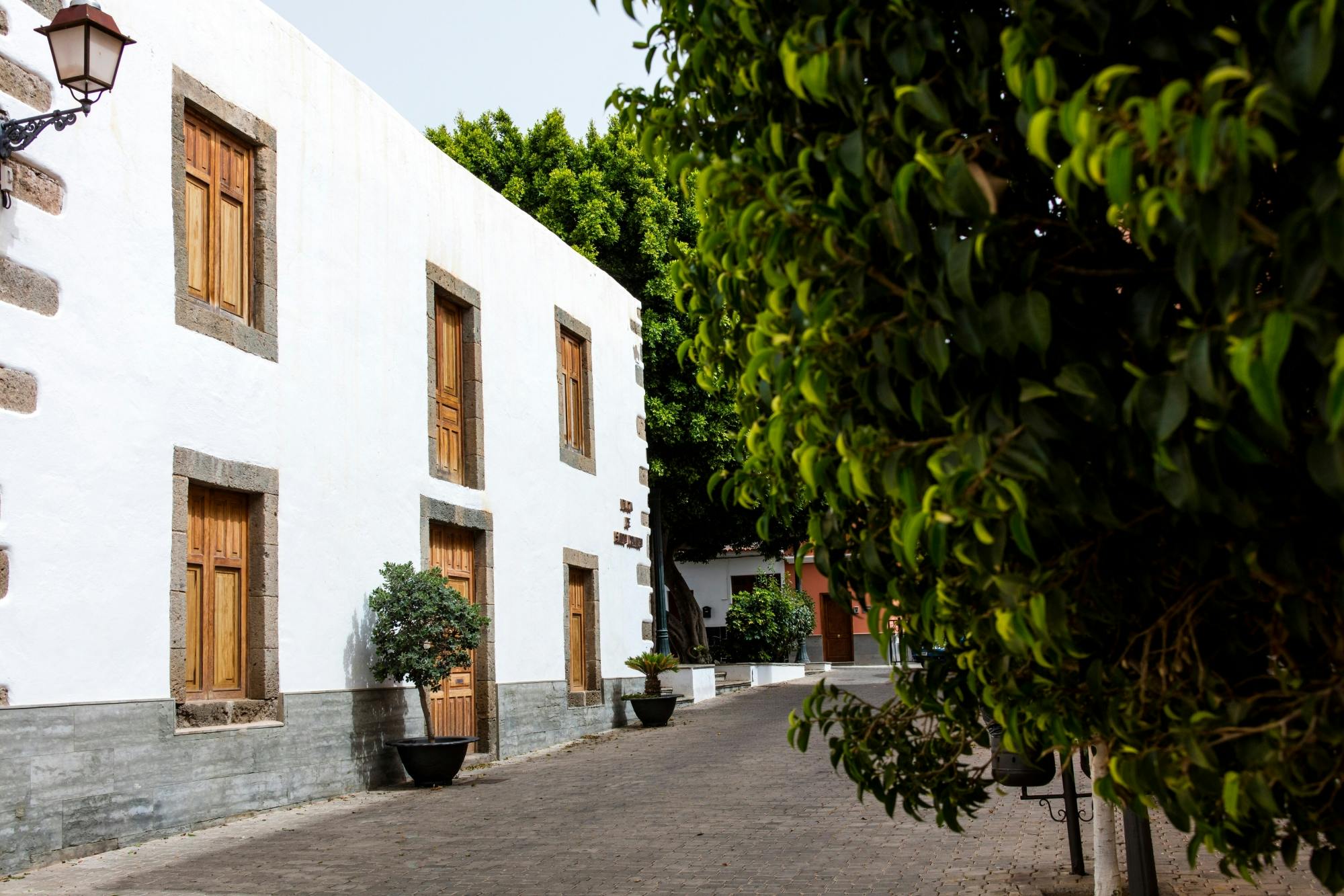 Gran Canaria’s Poema del Mar aquarium and Guayadeque canyon tour