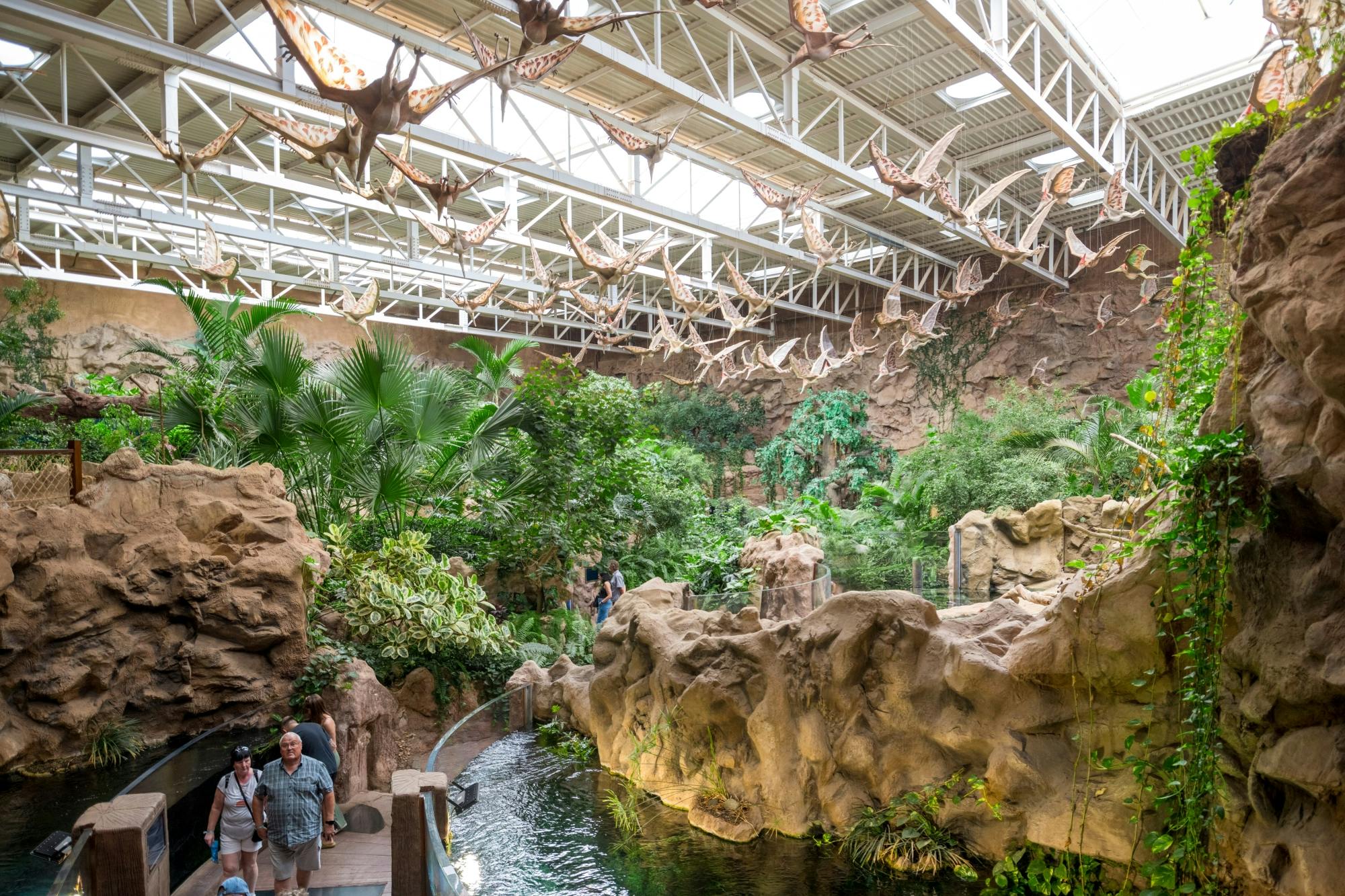 Gran Canaria’s Poema del Mar aquarium and Guayadeque canyon tour