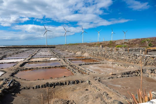 Gran Canaria food tour with distillery visit and local lunch