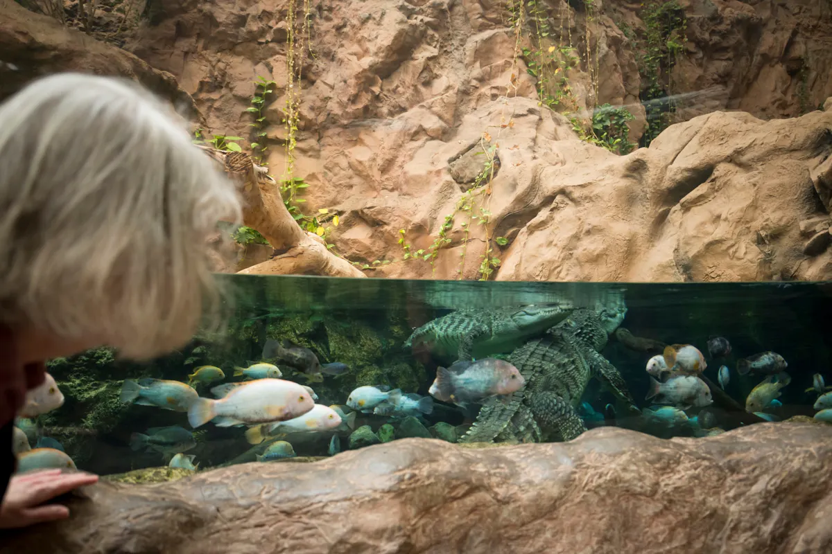 Gran Canaria’s Poema del Mar aquarium and Guayadeque canyon tour