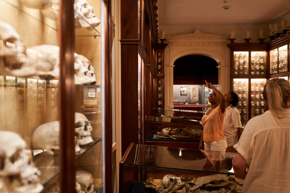 Full-day Las Palmas cultural walking tour