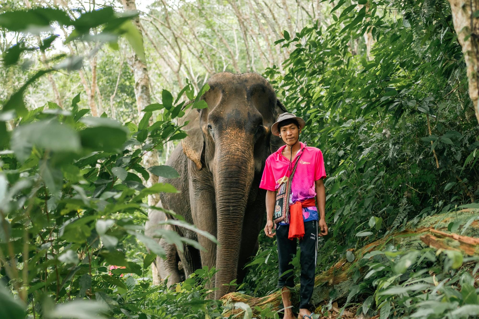 Half day elephant encounter from Phuket