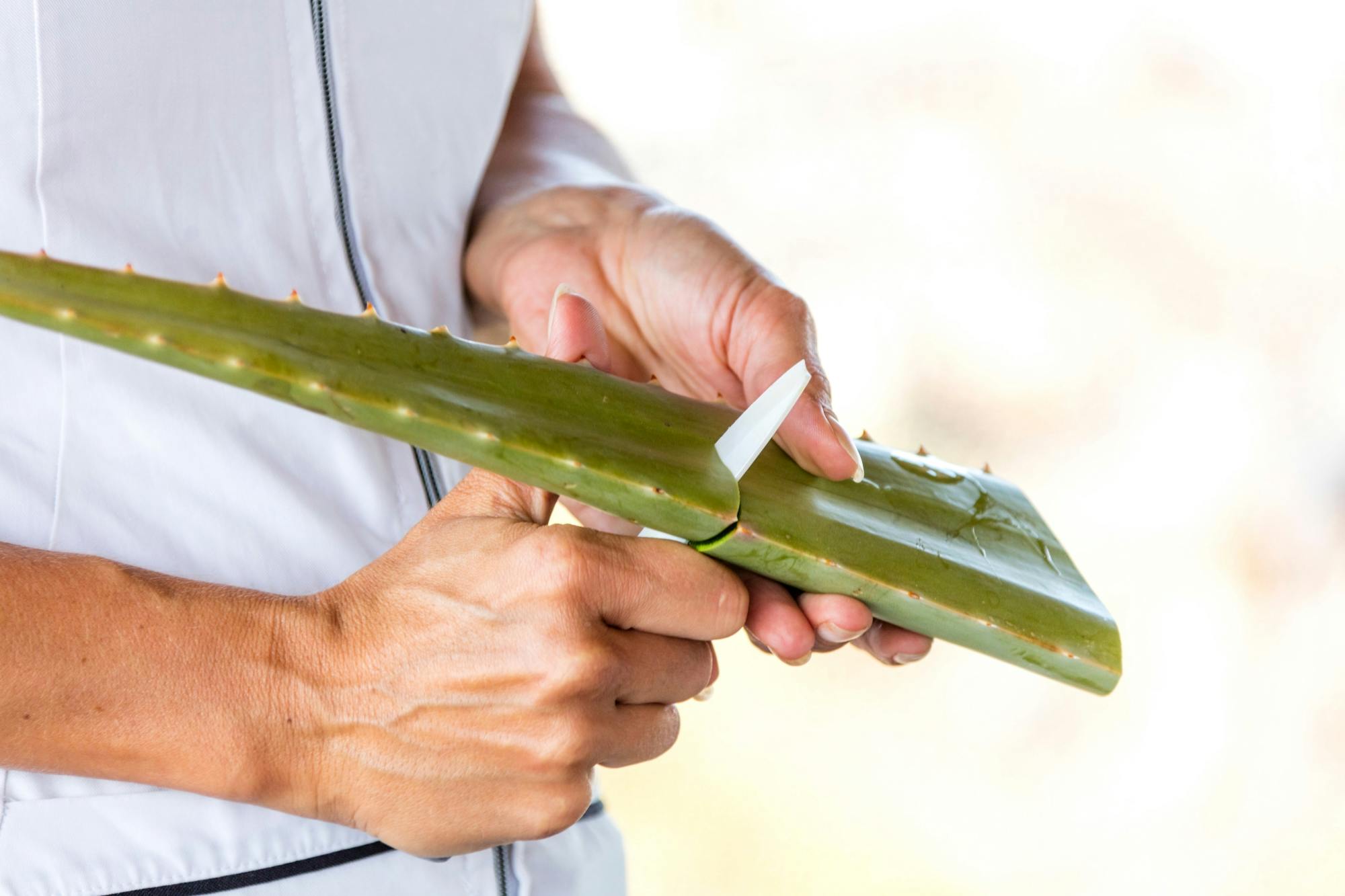 Full-day Gran Canaria tour with Teror, Tejeda and typical lunch