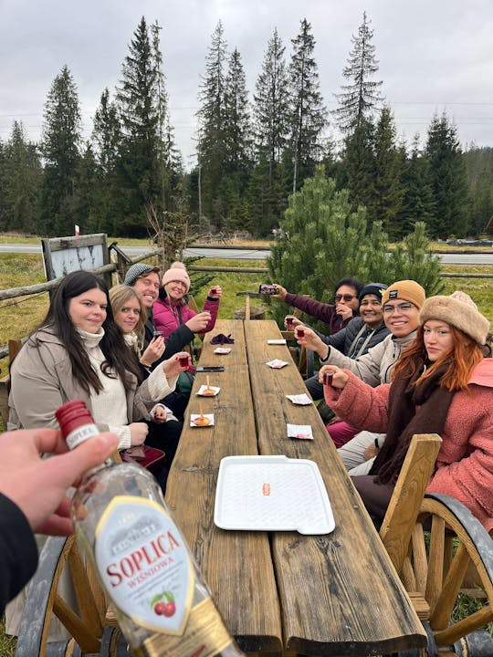 Excursion à Zakopane et au funiculaire de Gubałówka au départ de Cracovie