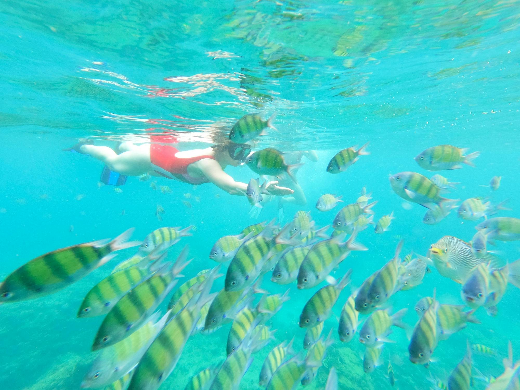 Oby catamaran cruise to Lobos Island with snorkelling