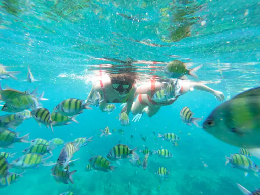 Fuerteventura Oby Catamaran Cruise to Lobos with snorkelling