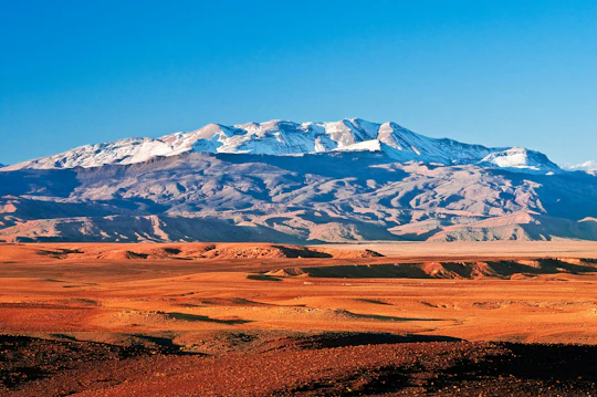 Private tour to Ourika Valley with hike to Atlas Mountains