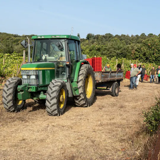 Cata de vinos de Umbría en Tenuta di Corbara
