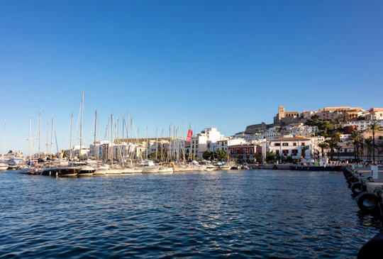 Good morning Ibiza tour