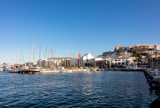 Buenos días Ibiza tour