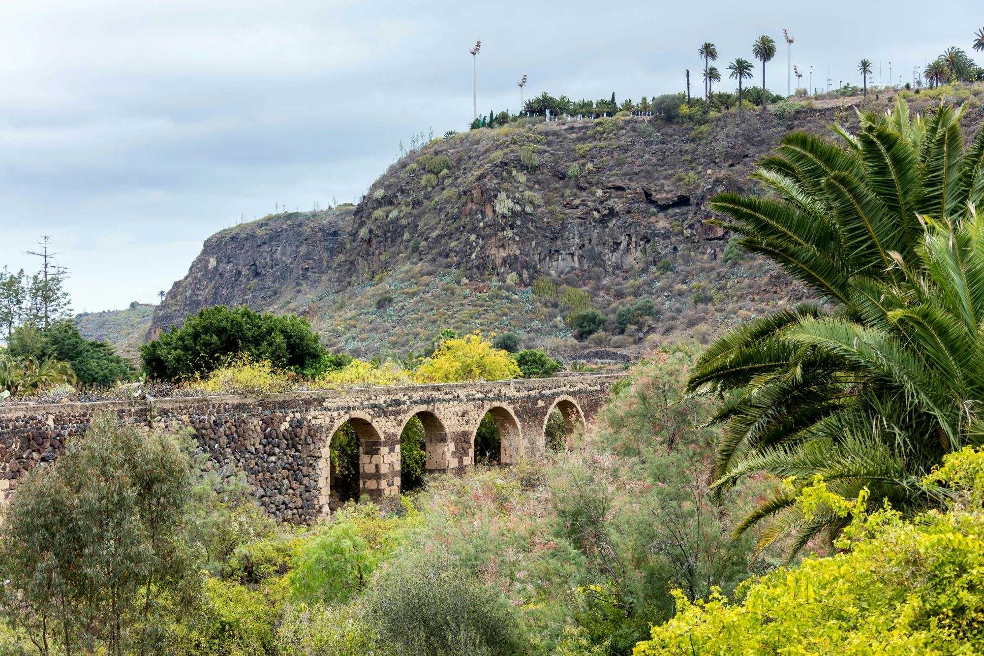 Tour Norte de Gran Canaria com Visita ao Parque Botânico