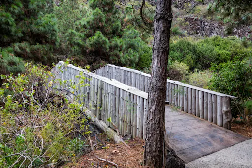 Sites & Bites: Gran Canaria botanical garden and fresh fruits