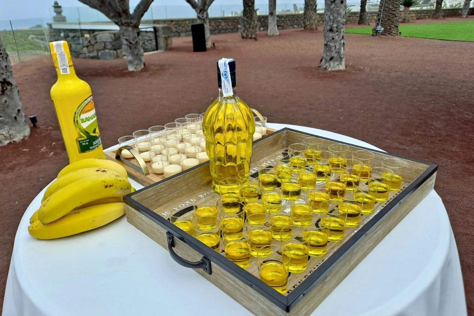 Sites & Bites: Gran Canaria botanical garden and fresh fruits