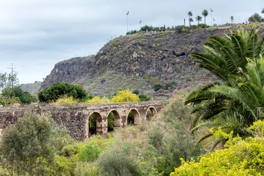 Sites & Bites: Botanischer Garten von Gran Canaria und frisches Obst