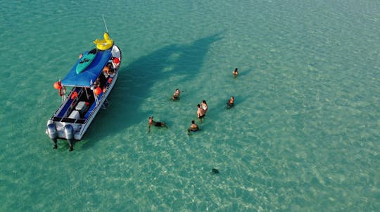 Cozumel guidad snorkling och örundtur från Cancún