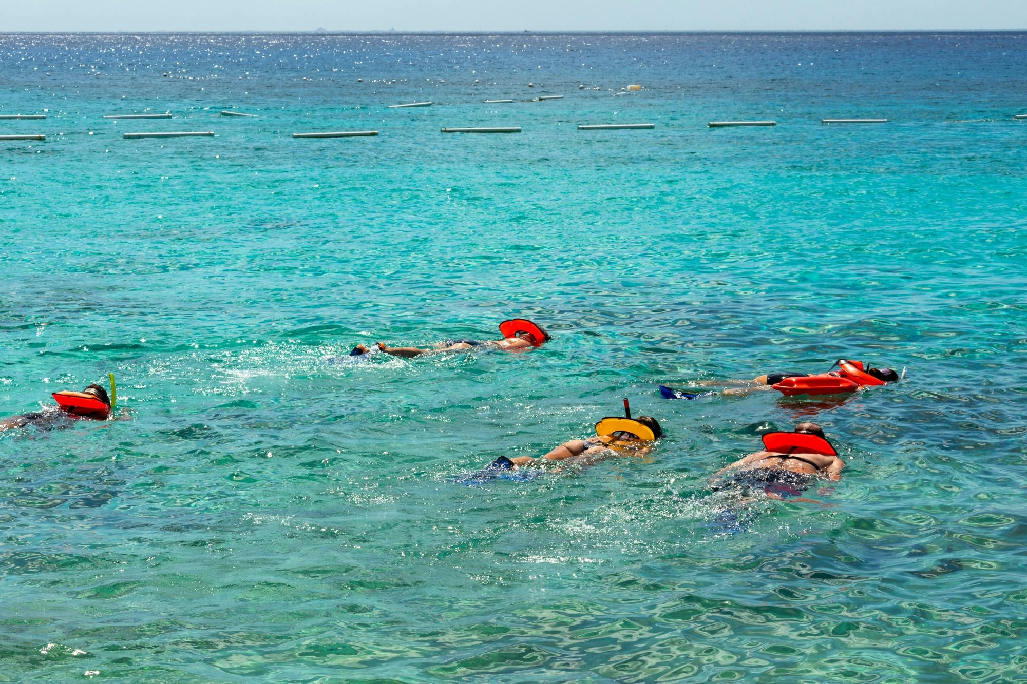 Cozumel guided snorkelling and island tour from Cancun