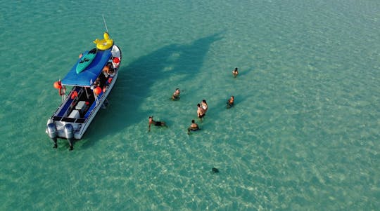 Cozumel guided snorkelling and island tour from Cancun