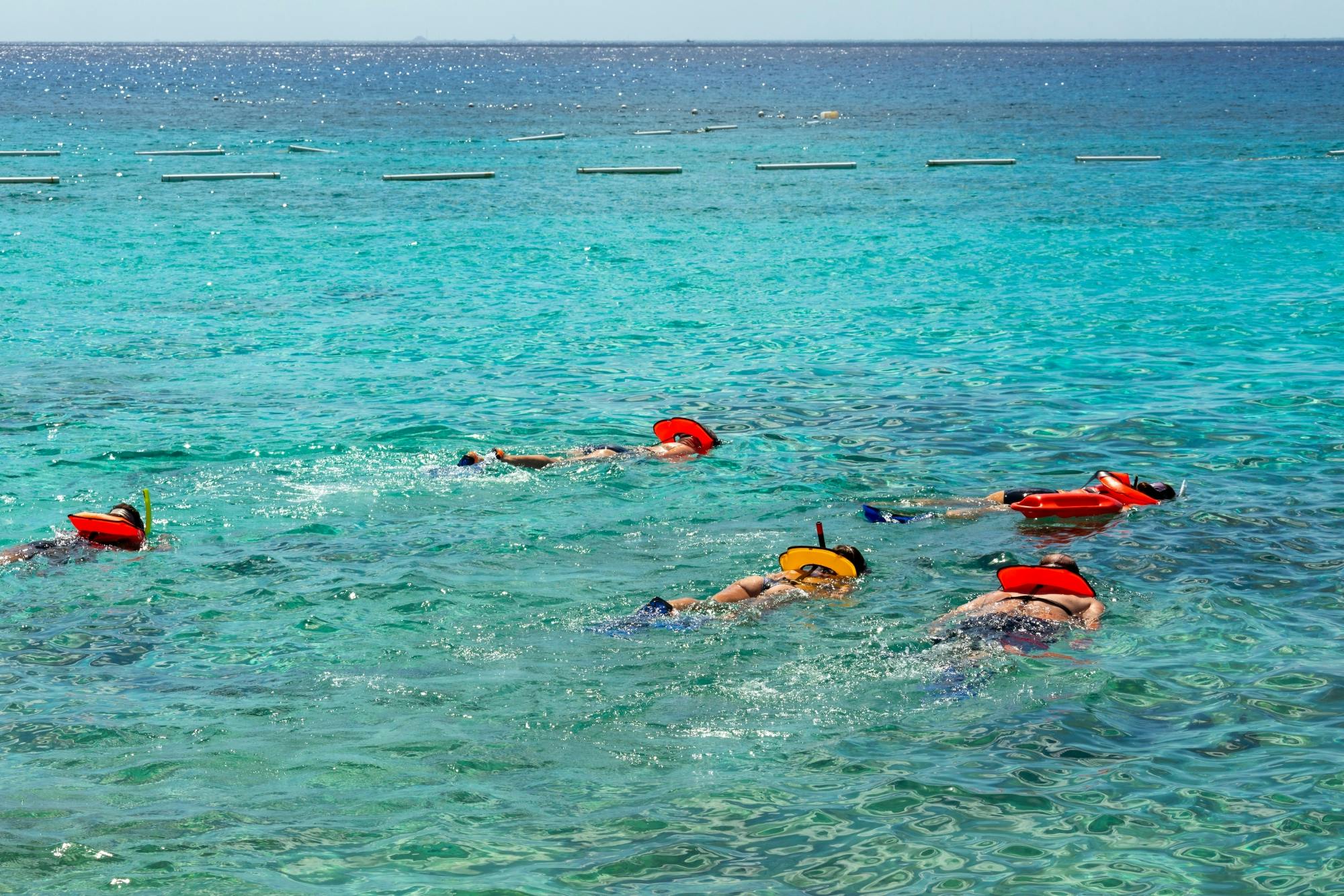 Cozumel guided snorkelling and island tour from Cancun