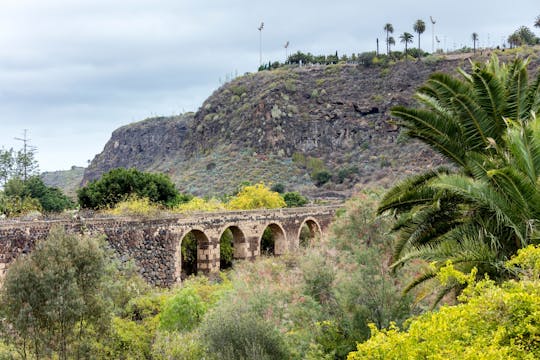 Lugares de interés: Jardín botánico de Gran Canaria y frutas frescas