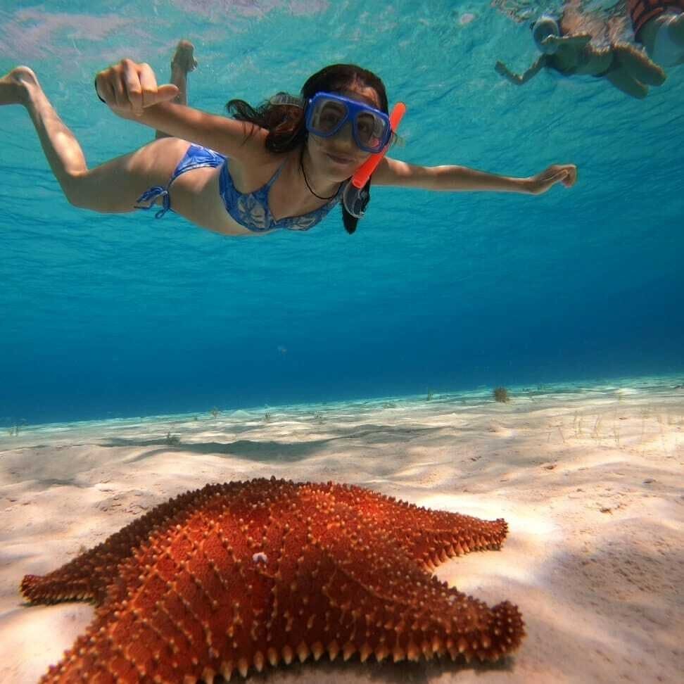 Cozumel guided snorkelling and island tour from Cancun