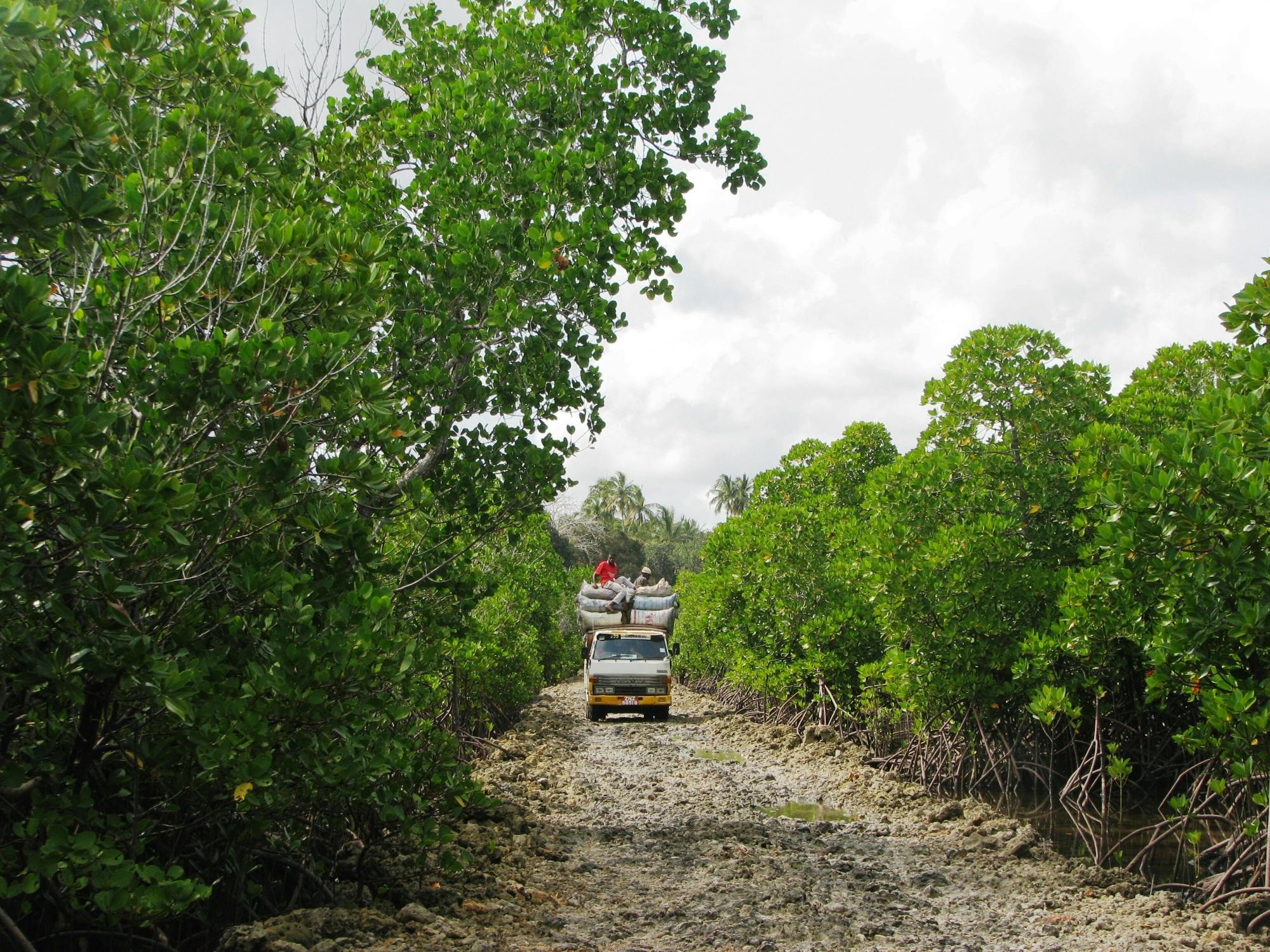 Tour privato dell'isola di Zanzibar Uzi e della foresta di Jozani