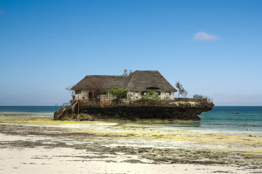 Zanzibar culture and traditions private tour with seaweed centre visit